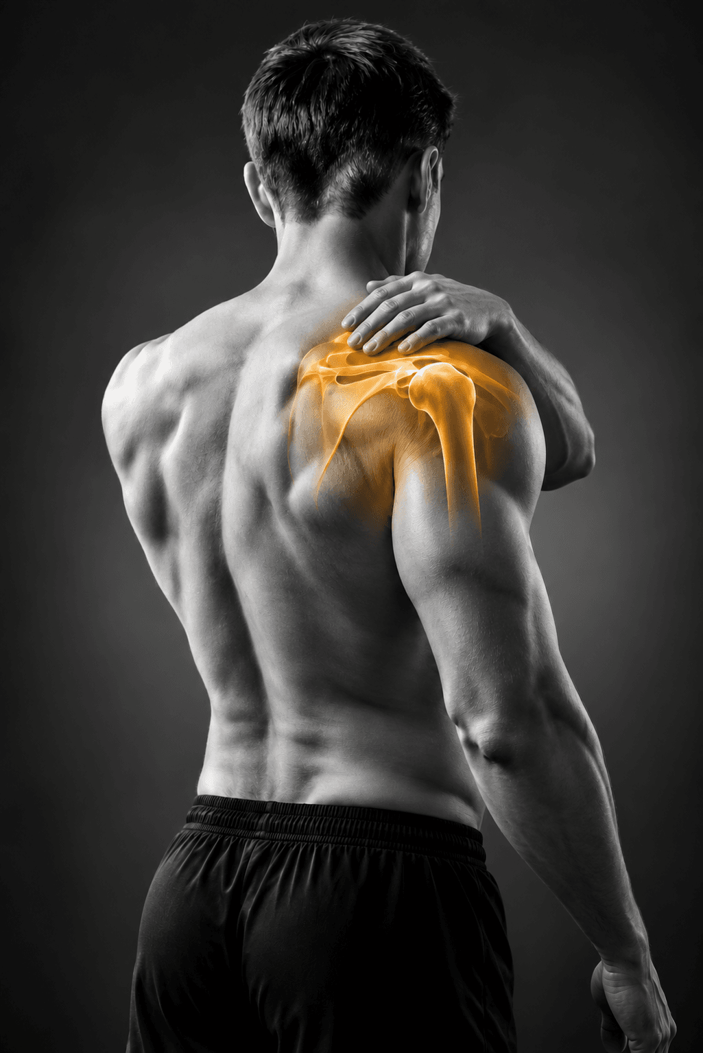 SHOULDER